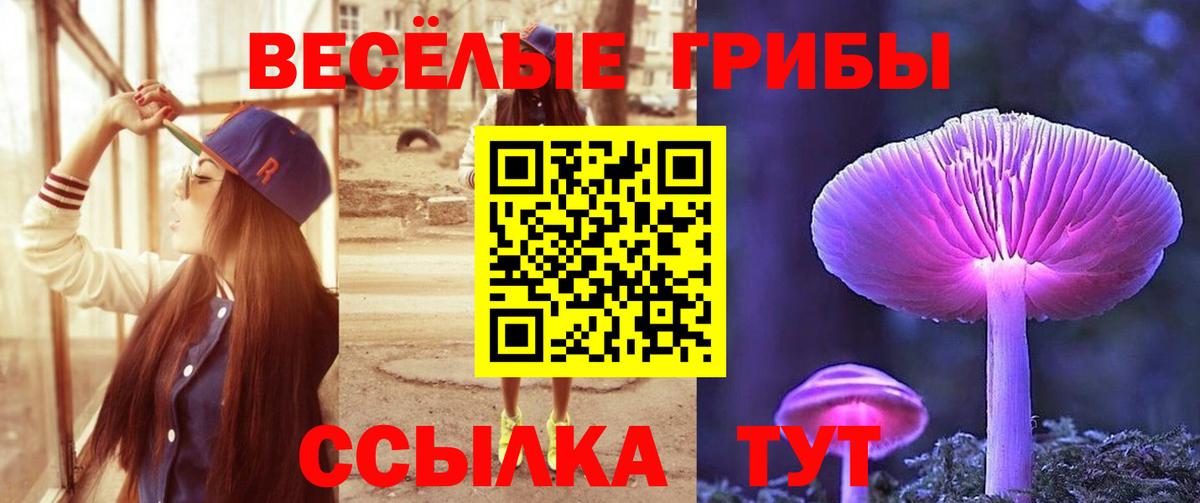Березники  Псилоцибиновые грибы Cubensis  Вход с VPN 