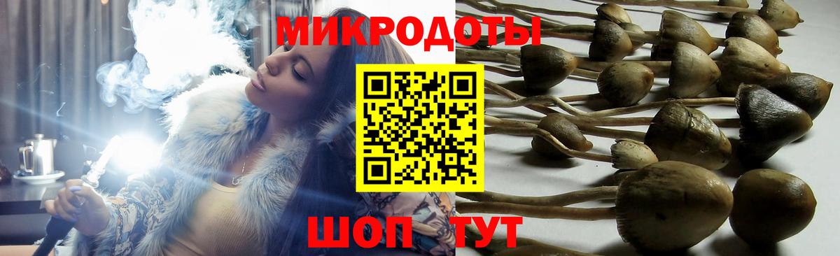 Псилоцибиновые грибы GOLDEN TEACHER Березники